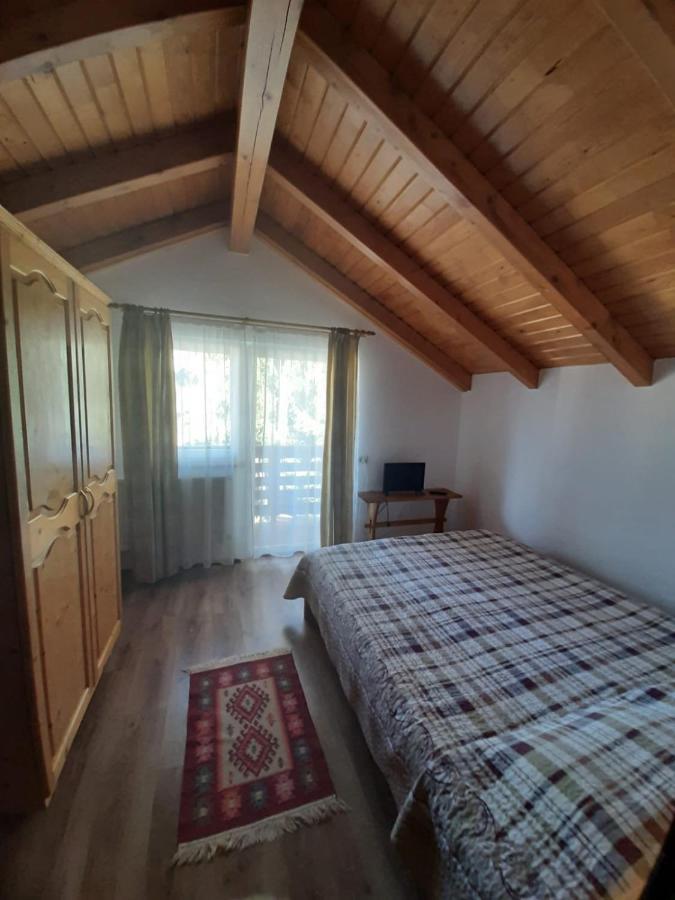 Casuta Pietrosul Rodnei Apartment Borşa Екстериор снимка