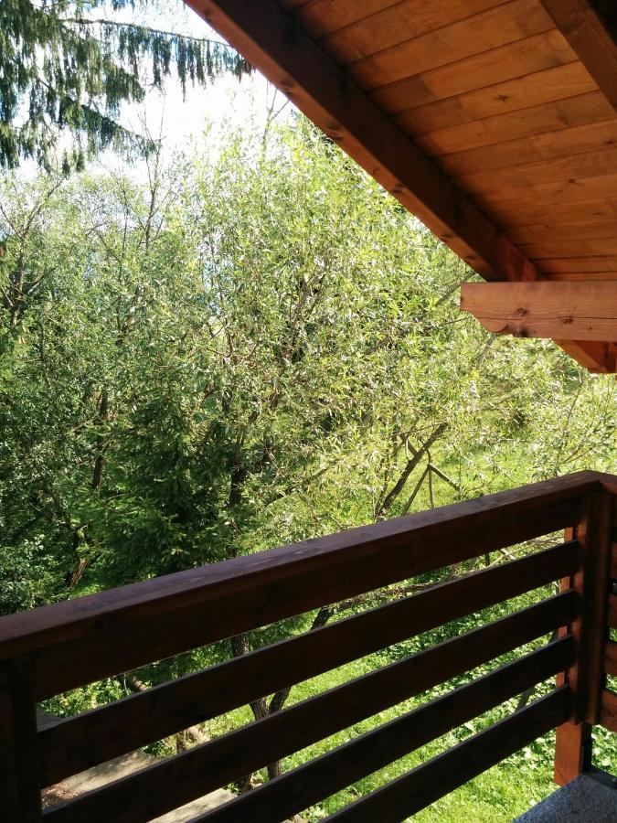 Casuta Pietrosul Rodnei Apartment Borşa Екстериор снимка