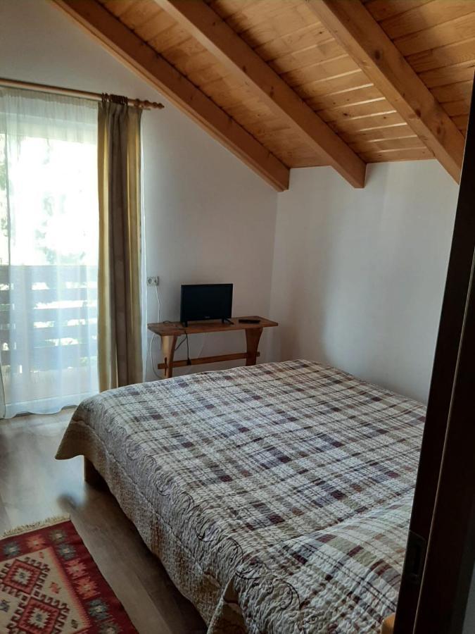 Casuta Pietrosul Rodnei Apartment Borşa Екстериор снимка