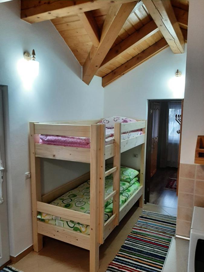 Casuta Pietrosul Rodnei Apartment Borşa Екстериор снимка